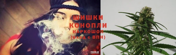 прущие крисы Козельск