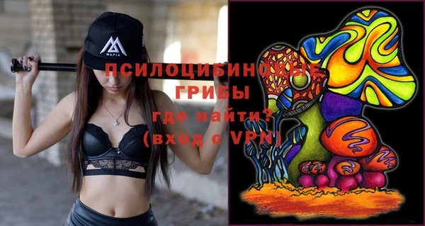 эйфоретик Козловка