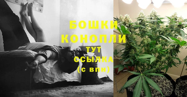 эйфоретик Козловка