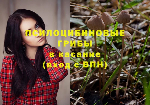 эйфоретик Козловка
