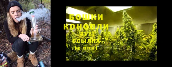 прущие крисы Козельск