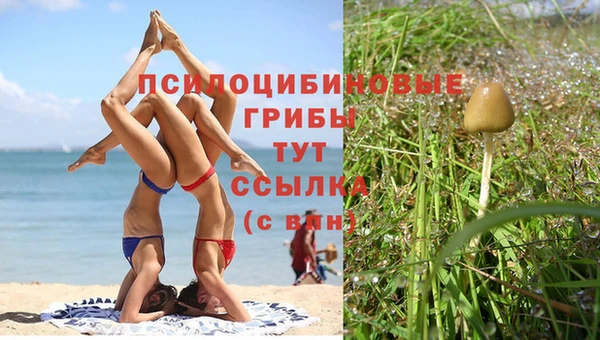эйфоретик Козловка