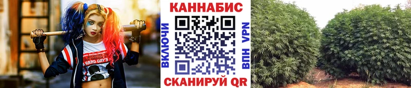 Каннабис AK-47  Купить где  Венёв 
