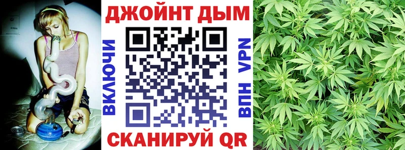 Конопля конопля Венёв